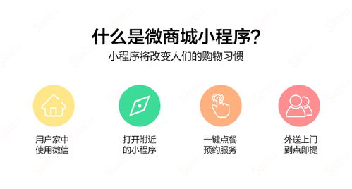 小程序开发 小程序开发制作 云派电商 优质商家