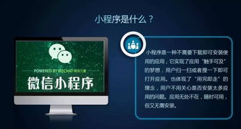 软件开发 软件开发批发 软件开发供应 邮编商务网youbian.com